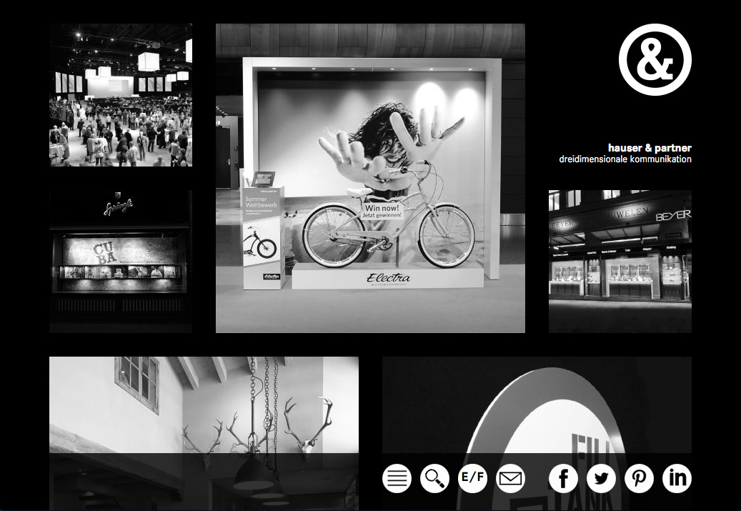 Website Hauser & Partner